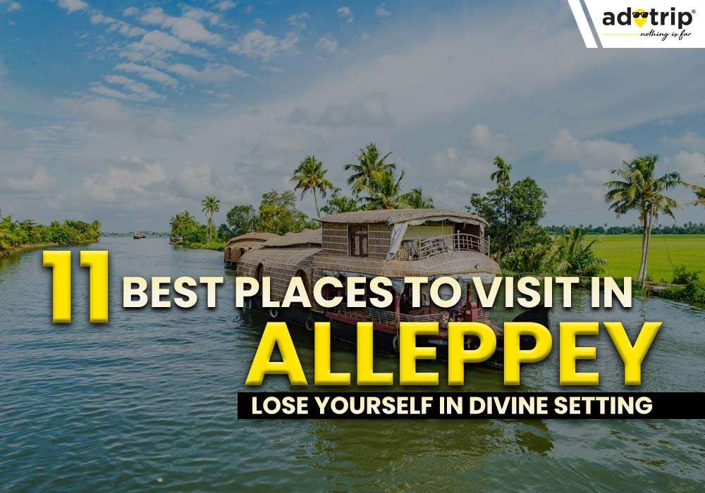 11 Famous Places To Visit In Alleppey